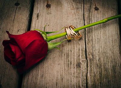 Beautiful flower with two wedding rings