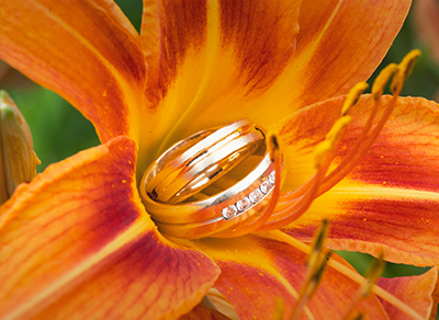 Wedding rings insde a flower bud